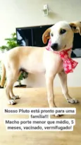 PLUTO