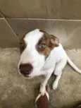 Kira