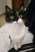 Jane