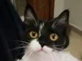 Jane