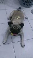 Bruce
