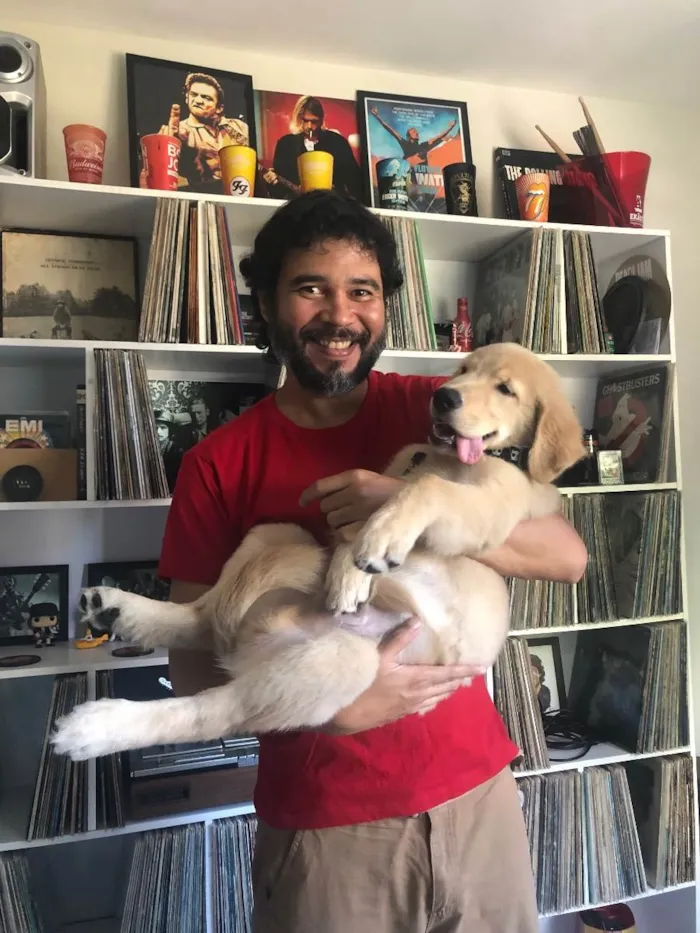 Cachorro ra a Golden retriver idade 2 a 6 meses nome Biu 