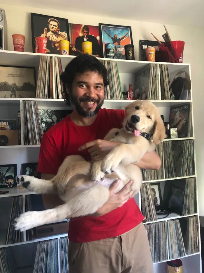 Cachorro ra a Golden retriver idade 2 a 6 meses nome Biu 