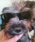 Luizinho