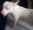 Yuki