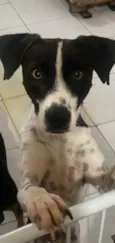 Pixel