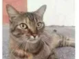 JULLY