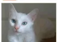 MAITÊ