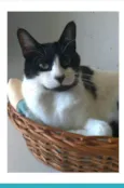 FILÓ