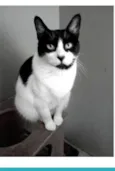 FILÓ