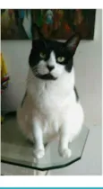 FILÓ