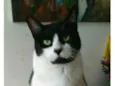 FILÓ