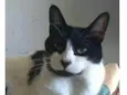 FILÓ
