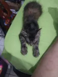 Jade