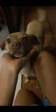 Docinho