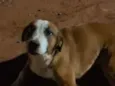 Lindinha