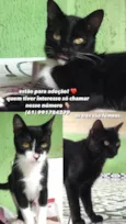 Não tem nome 