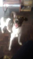 Estrela
