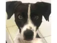 Pixel