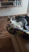 Ragnar