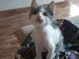 Ragnar