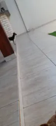 NINA