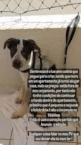 Lua