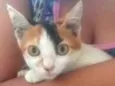 Sem nome