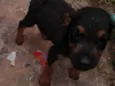 ..
