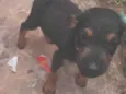 ..