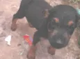 ..