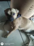 Indefinido pequeno 