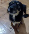Mel