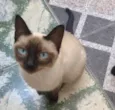 Nina 