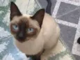Nina 