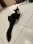 Leo