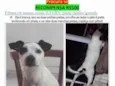 Zayra