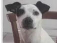 Zayra