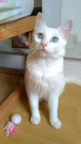 MAITÊ