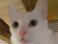 MAITÊ