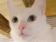 MAITÊ