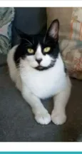 FILÓ