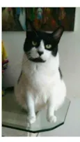 FILÓ