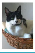 FILÓ