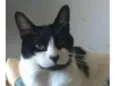 FILÓ
