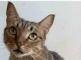 NALA