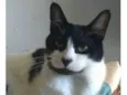 FILÓ