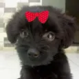 Rubi 