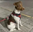 Bim