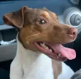 Bim